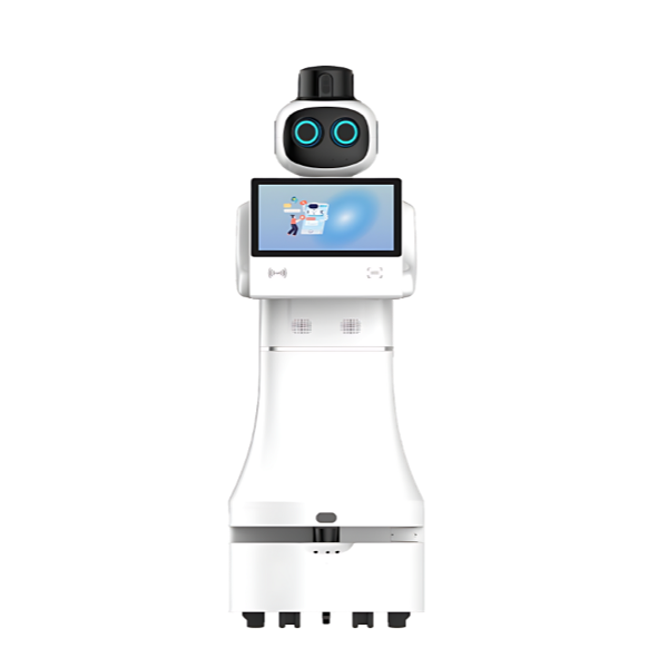 Reception & Patrol Robot